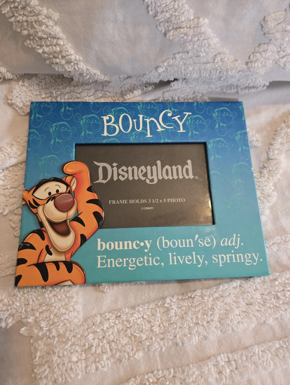 Disneyland Disney Teal & Blue Tigger Bouncy Picture Frame Holds 3 1/2 x 5 Photo - Picture 9 of 9